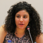 The Economic Determinants of Political Islam: An Empirical Investigation of the Arab Spring in Egypt