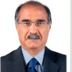 The Arab Economies in Multi-Country Models: Survey of Some Regional and Global Experiences