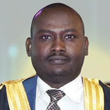 Badreldin Mohamed Ahmed Abdulrahman
