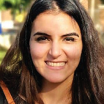 The Interplay of Political Turbulence and Investor-State Dispute: Insights from Africa and the MENA Region