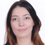 An artificial neural network augmented GARCH model for Islamic stock market volatility: Do asymmetry and long memory matter?