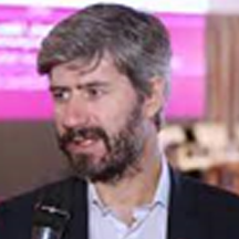 Luca Fedi