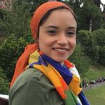 A Comprehensive Analysis of the Dynamic Space-time Impacts of Climate Change on Poverty in Egypt