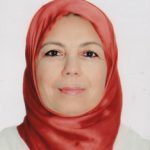 Decentralization, Transparency of Public Procurement and Corruption in MENA Countries