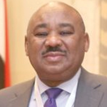 Ibrahim Elbadawi